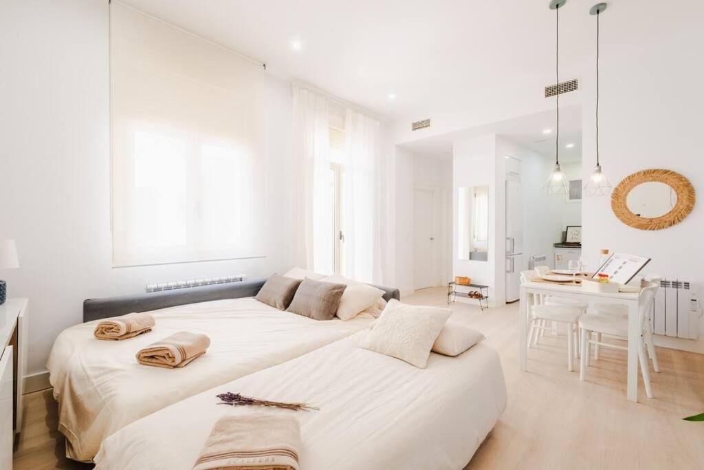 Casa San Miguel Terrace Centro Zaragozaアパートメント エクステリア 写真